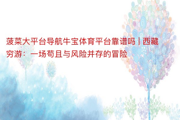 菠菜大平台导航牛宝体育平台靠谱吗 | 西藏穷游：一场苟且与风险并存的冒险